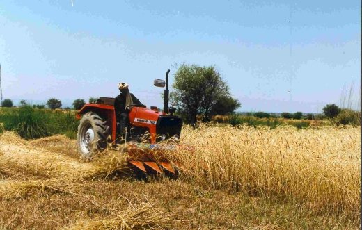 MECHANICAL HARVESTER