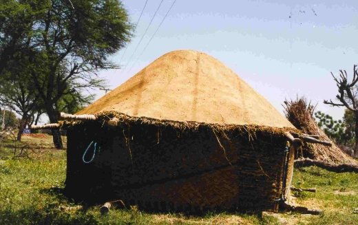 STRAW STACKS AROUND THE THRESHING FLOOR