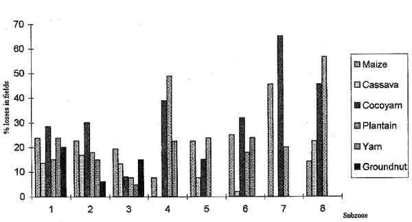 PERCENTAGE OF SOME FOOD CROPS LOSSES (15KB)