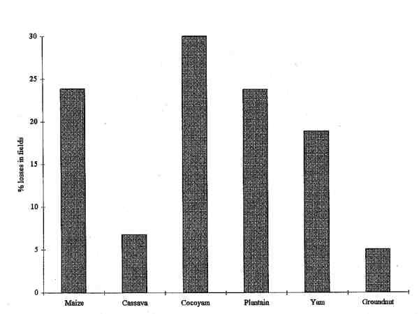 AVERAGE PERCENTAGES OF FIELD LOSSES (17KB)